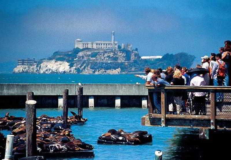 ホテル Sonesta Es Suites San Francisco Airport Oyster Point Waterfront