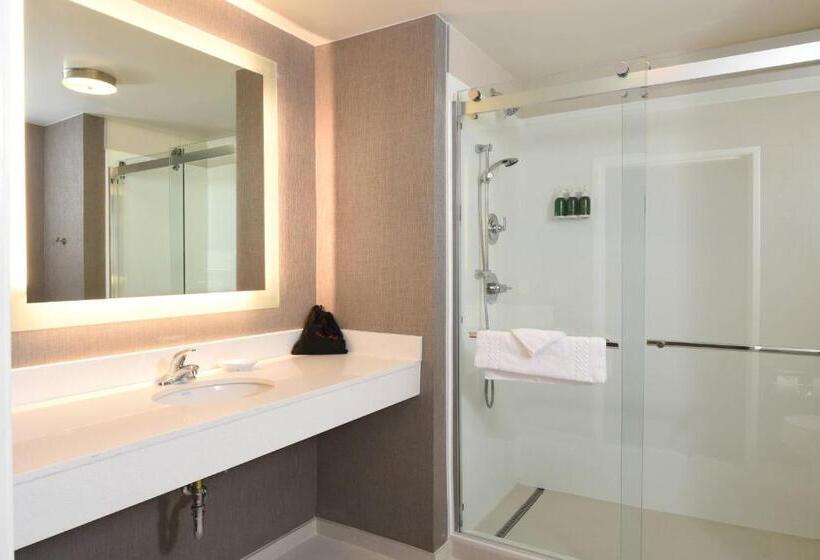 בית מלון כפרי Springhill Suites Des Moines West