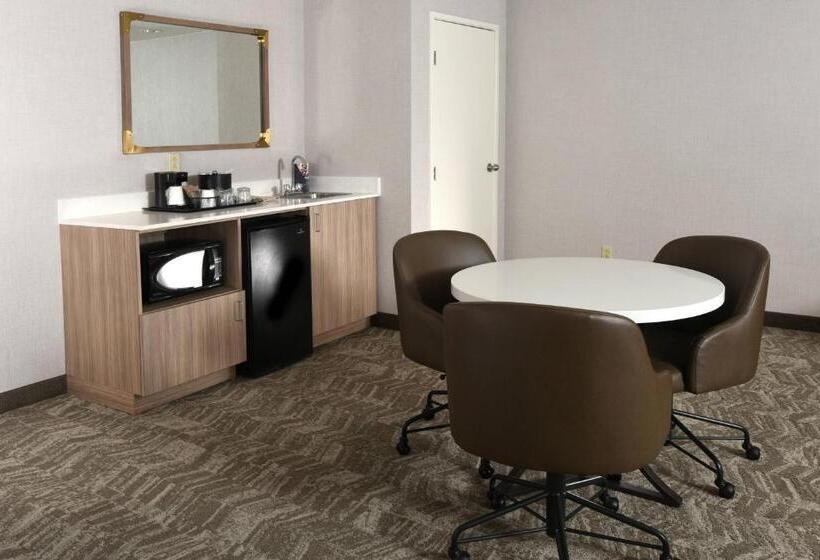 בית מלון כפרי Springhill Suites Des Moines West