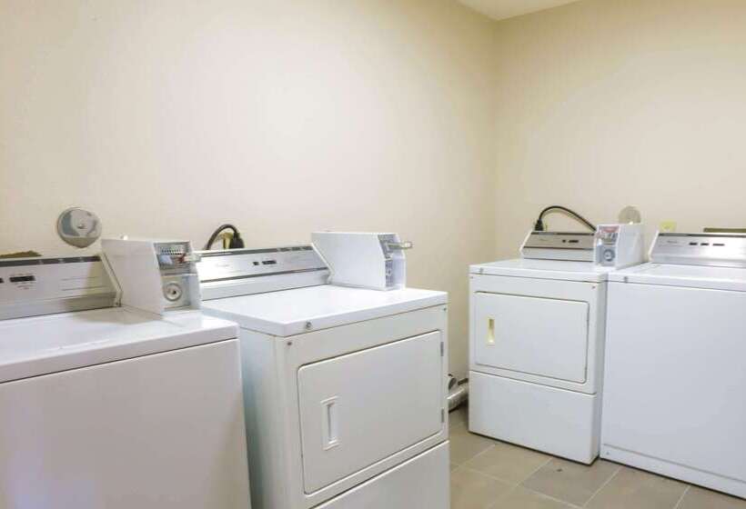 酒店 Super 8 By Wyndham San Antonio Airport North