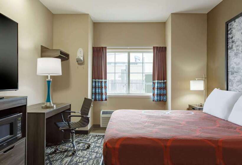 酒店 Super 8 By Wyndham San Antonio Airport North