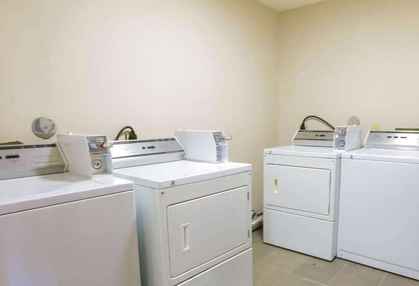 酒店 Super 8 By Wyndham San Antonio Airport North