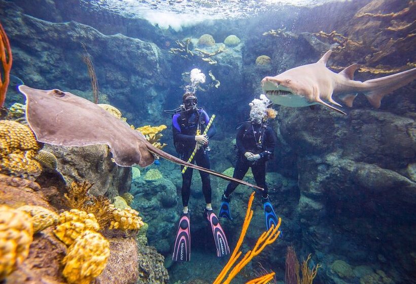 فندق Tampa Marriott Water Street