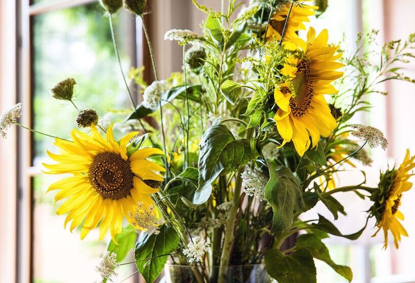 Odelya Hotel & Naturgarten Basel City