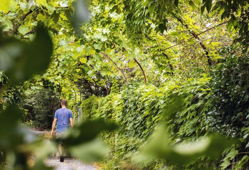 Odelya Hotel & Naturgarten Basel City