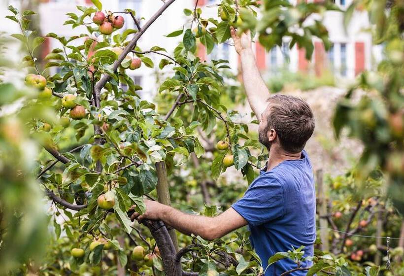 Odelya Hotel & Naturgarten Basel City