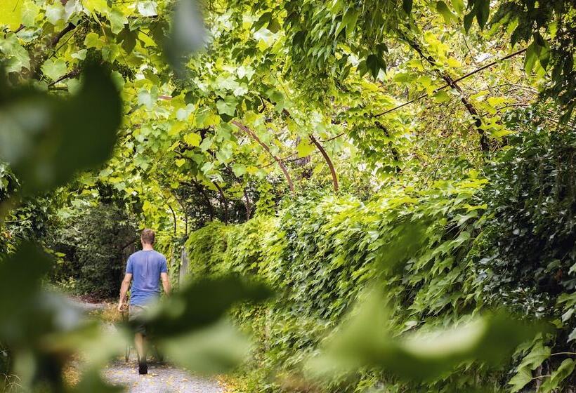 Odelya Hotel & Naturgarten Basel City