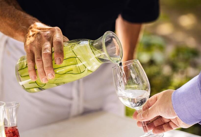 Odelya Hotel & Naturgarten Basel City