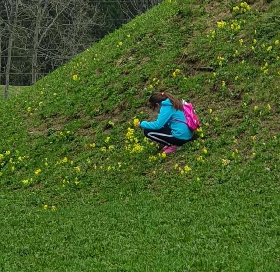 ホテル Walliserhof Leukerbad Therme