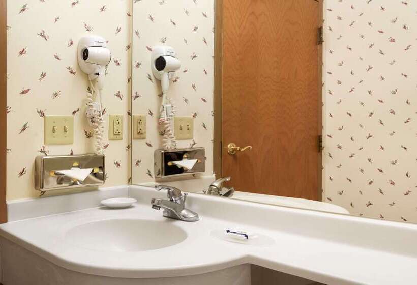 Microtel Inn & Suites By Wyndham Ann Arbor