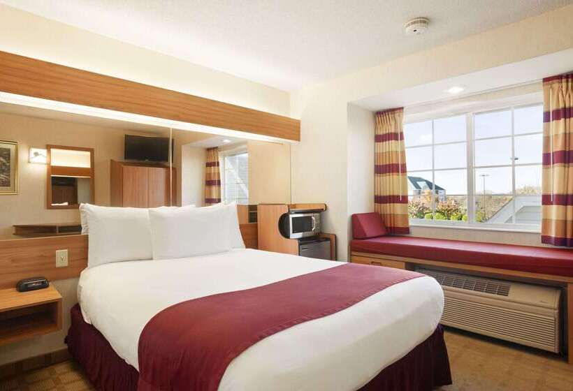 Microtel Inn & Suites By Wyndham Ann Arbor