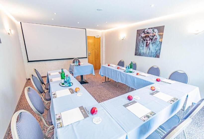 Parkhotel Sonnenberg