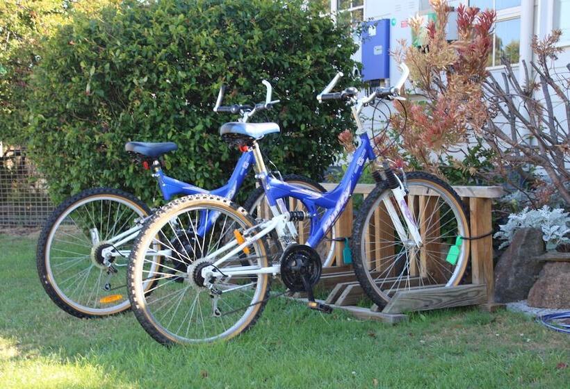 Отель Swansea Cottages & Lodge Suites