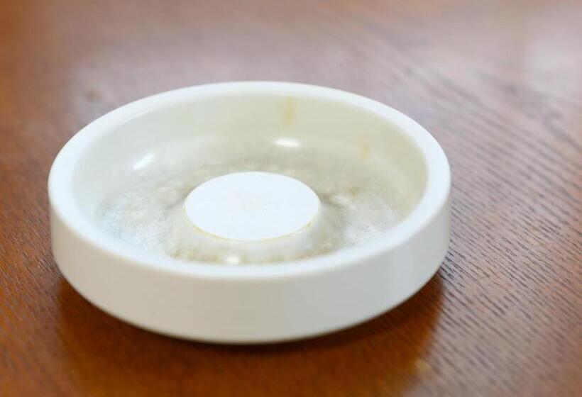 فندق Inuyama Miyako