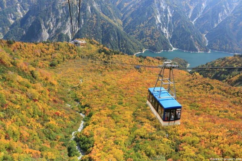 בית מלון כפרי Kongoji Syukubo Seihoin