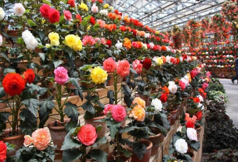 فندق Kuwana Park