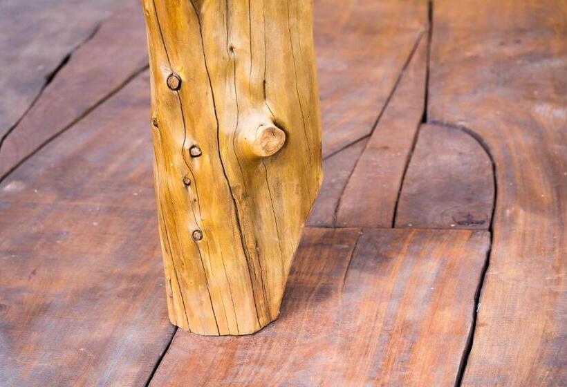 فندق Lodge Mondo