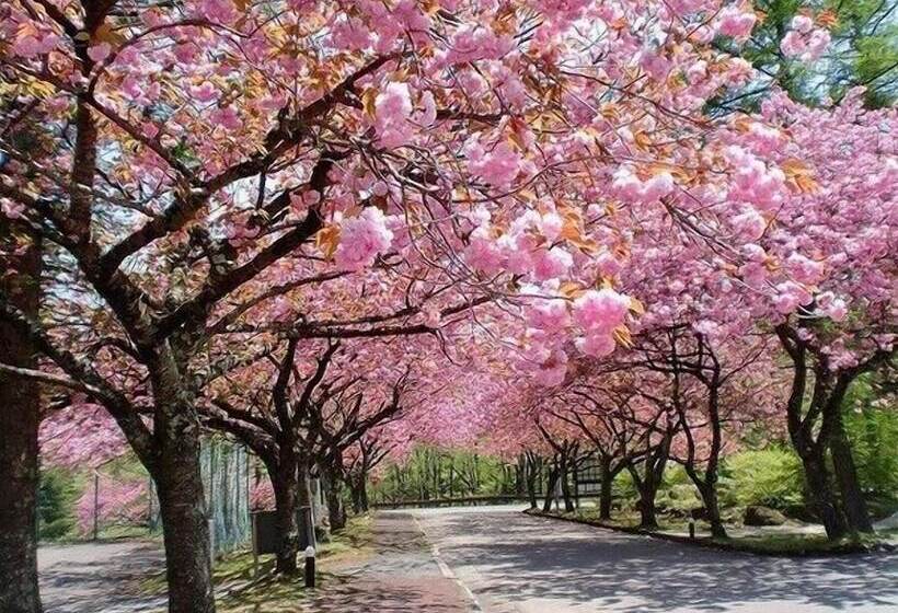 ホテル Yutomori Club