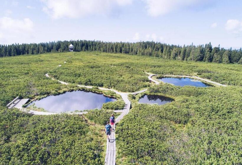 Pohorje Village Wellbeing Resort   Wellness & Spa Hotel Bolfenk