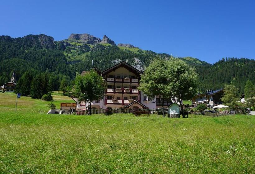 Отель Albergo Conturina