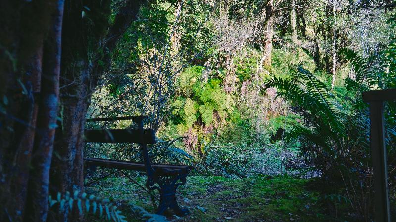 酒店 El Pangue Lodge