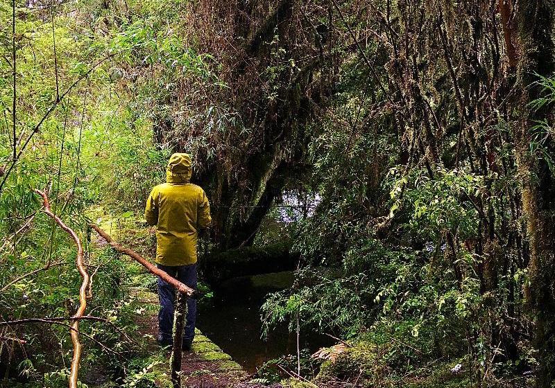 酒店 El Pangue Lodge