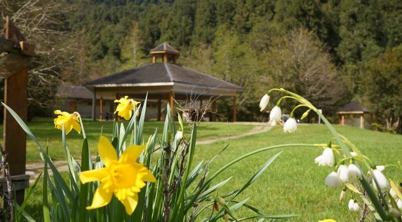 酒店 El Pangue Lodge