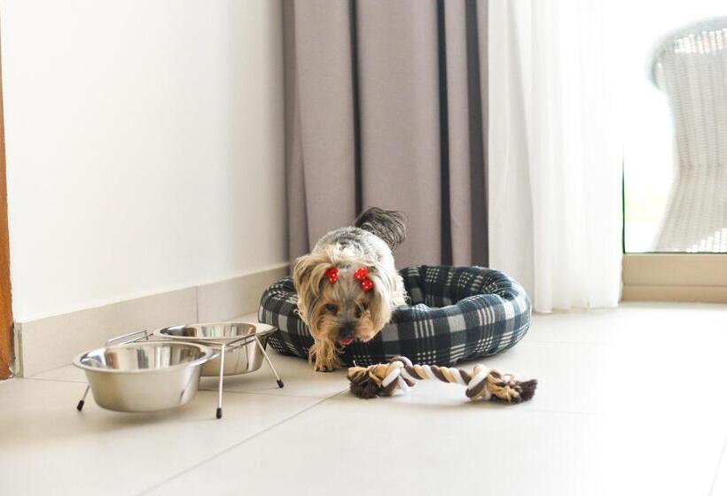 Acrotel Athena Pallas