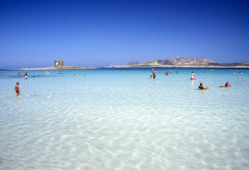 호텔 Cala Rosa Club