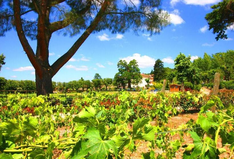 Cortona Resort & Spa