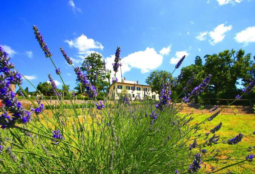 Cortona Resort & Spa