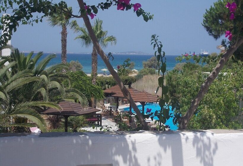 Отель Alkyoni Beach