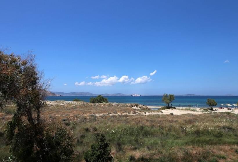 Отель Alkyoni Beach