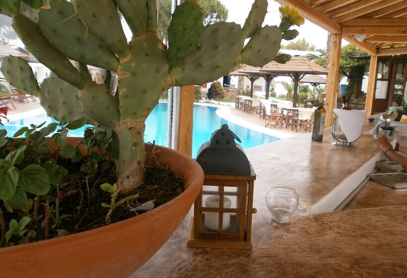 Отель Alkyoni Beach