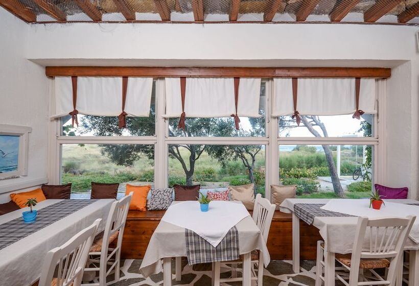 Отель Alkyoni Beach