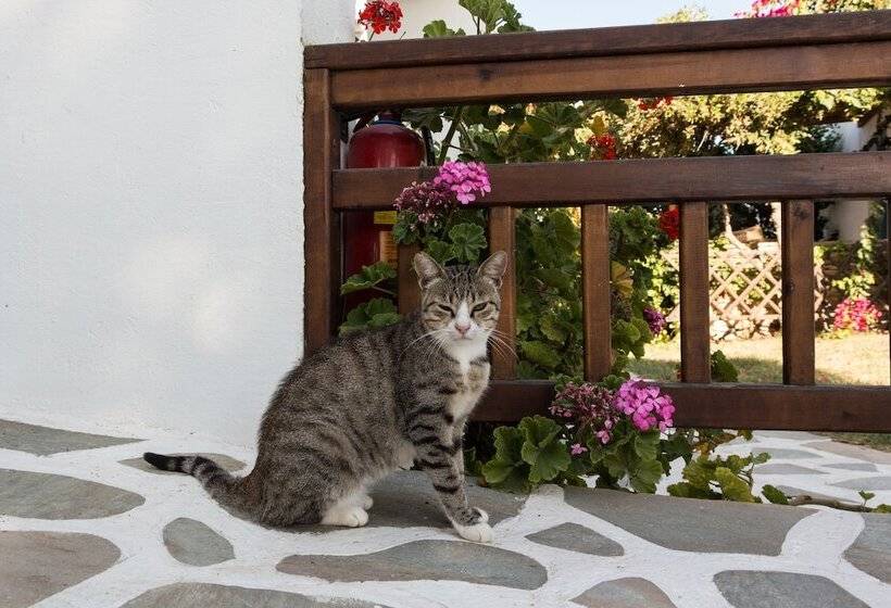 Отель Alkyoni Beach