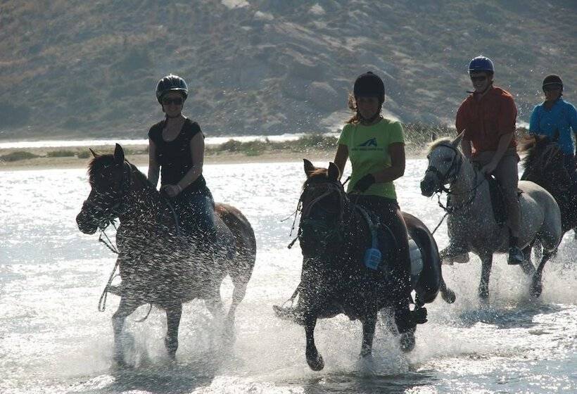 Отель Alkyoni Beach