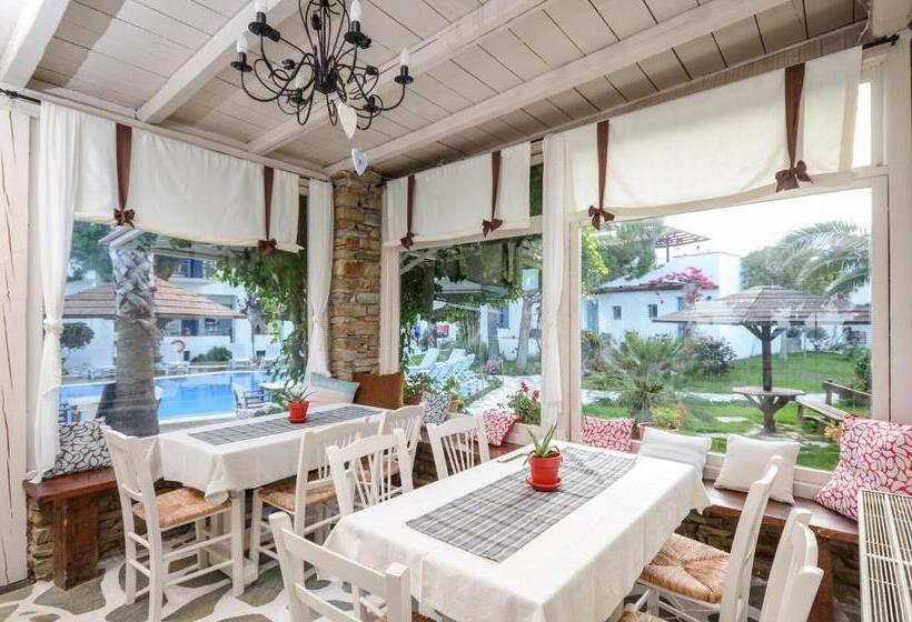 Отель Alkyoni Beach