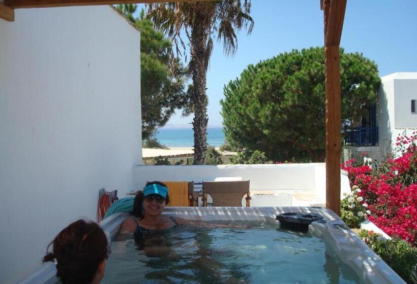 Отель Alkyoni Beach