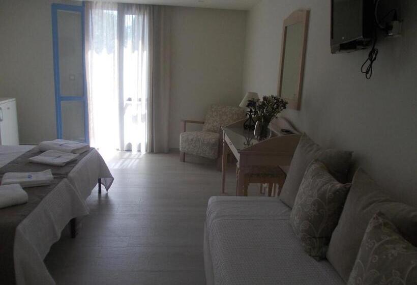 Отель Alkyoni Beach