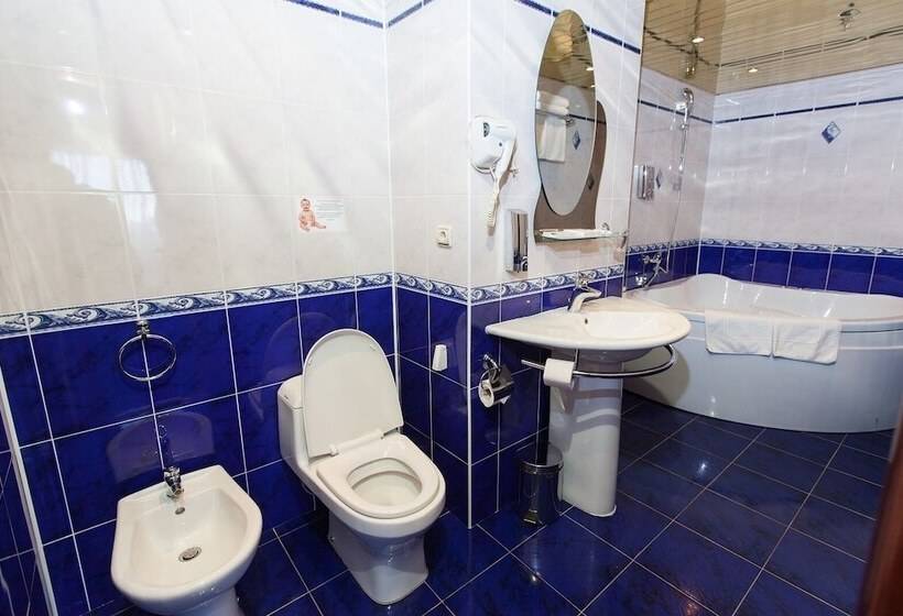 酒店 Amaks Golden Ring