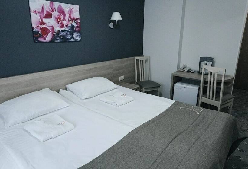 酒店 Amaks Golden Ring