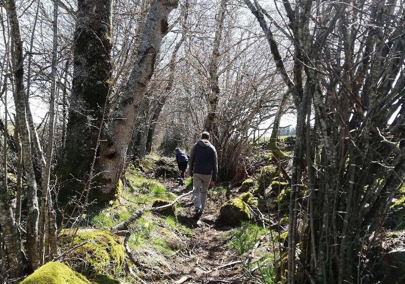 호텔 Best Western Le Relais De Laguiole Hôtel & Spa