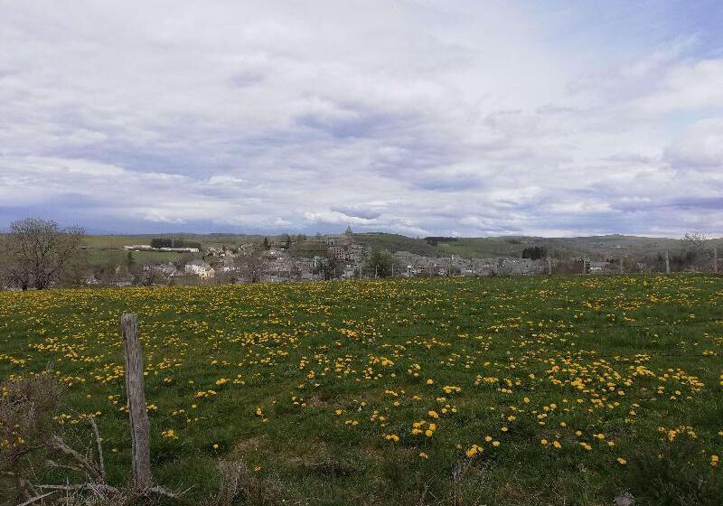 호텔 Best Western Le Relais De Laguiole Hôtel & Spa