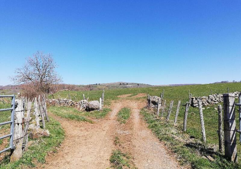 호텔 Best Western Le Relais De Laguiole Hôtel & Spa