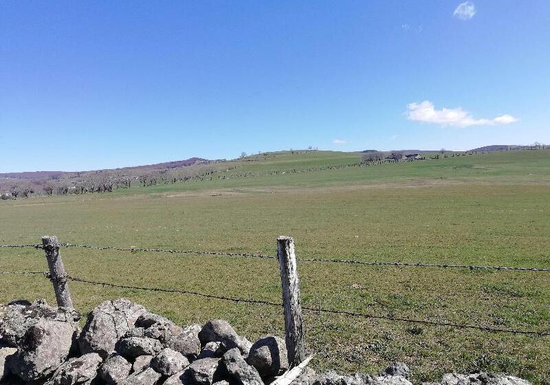 호텔 Best Western Le Relais De Laguiole Hôtel & Spa