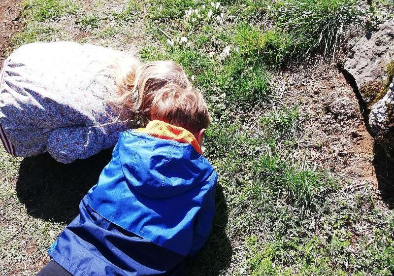 호텔 Best Western Le Relais De Laguiole Hôtel & Spa