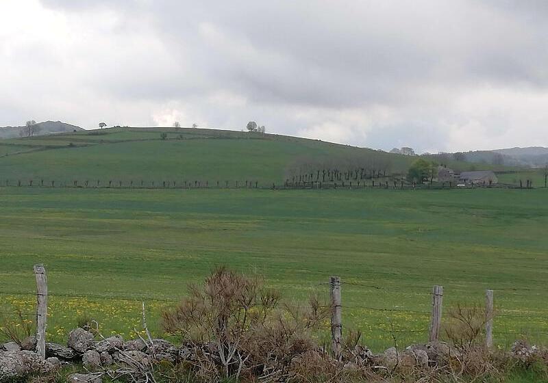 호텔 Best Western Le Relais De Laguiole Hôtel & Spa