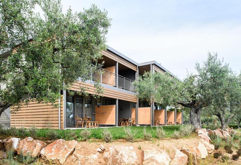 בית מלון כפרי Blue Dolphin