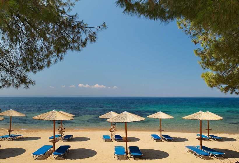 בית מלון כפרי Blue Dolphin